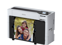 View Epson SC-P6500E / D 24