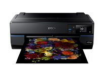 View Epson SC-P800 A2