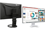View Eizo FlexScan