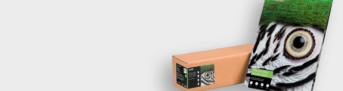 Epson Smooth Natural 300